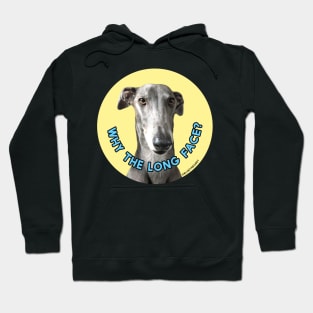 Why the Long Face? Hoodie